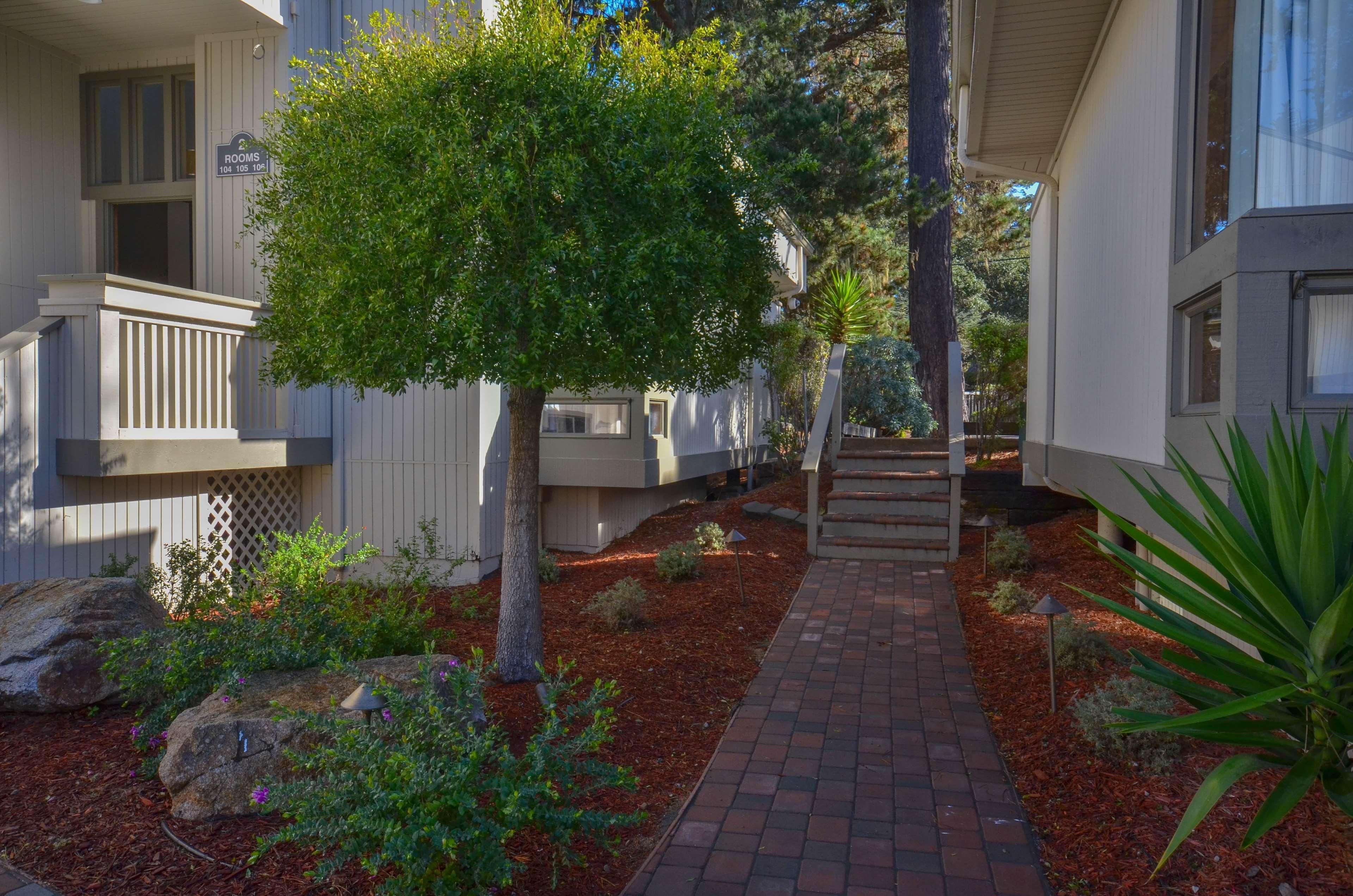 Best Western The Inn & Suites Πασίφικ Γκρόουβ Εξωτερικό φωτογραφία